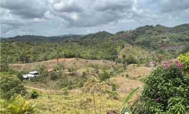 Se vende finca de 40 hectáreas con casa campestre en Capira (DR)