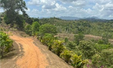 Se vende finca de 40 hectáreas con casa campestre en Capira (DR)