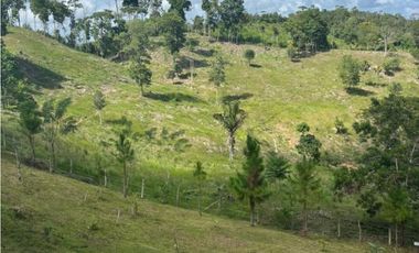 Se vende finca de 40 hectáreas con casa campestre en Capira (DR)