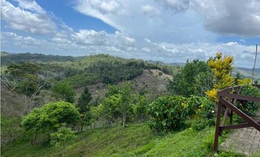 Se vende finca de 40 hectáreas con casa campestre en Capira (DR)