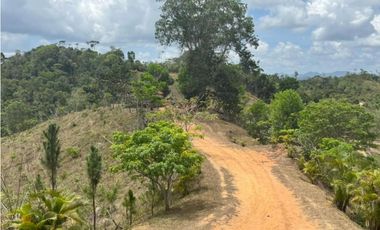 Se vende finca de 40 hectáreas con casa campestre en Capira (DR)