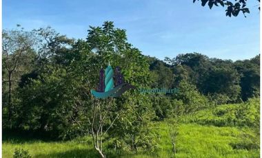 VENDO 10 HECTAREAS CON PASTO MEJORADO