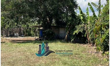 VENDO 10 HECTAREAS CON PASTO MEJORADO