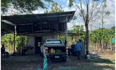VENDO 10 HECTAREAS CON PASTO MEJORADO