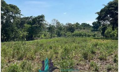 VENDO 10 HECTAREAS CON PASTO MEJORADO