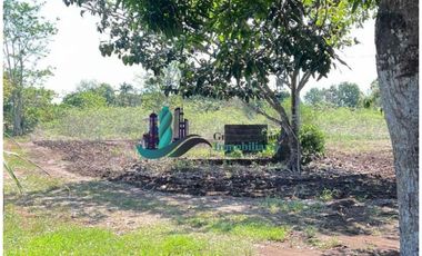 VENDO 10 HECTAREAS CON PASTO MEJORADO