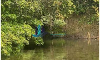 VENDO 10 HECTAREAS CON PASTO MEJORADO