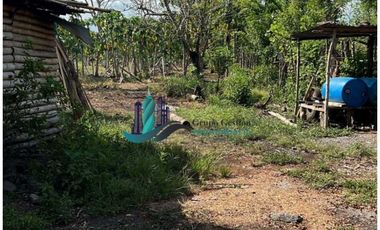 VENDO 10 HECTAREAS CON PASTO MEJORADO