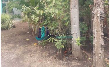 VENDO CASA CON DERECHO POSESORIO