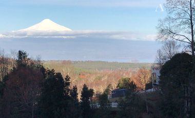 Sitio en Venta en Pedregoso