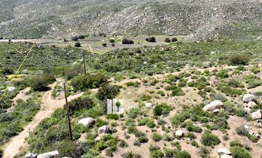 17 HA. EN COLINA VECINO ENCUENTRO GUADALUPE,  VALLE DE GUADALUPE