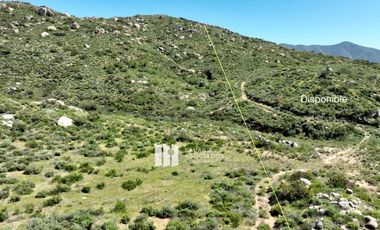 17 HA. EN COLINA VECINO ENCUENTRO GUADALUPE,  VALLE DE GUADALUPE