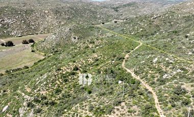 17 HA. EN COLINA VECINO ENCUENTRO GUADALUPE,  VALLE DE GUADALUPE