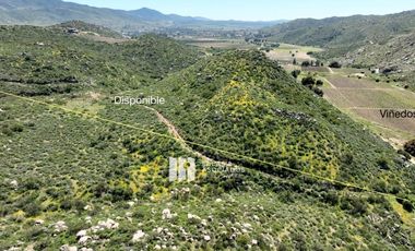 17 HA. EN COLINA VECINO ENCUENTRO GUADALUPE,  VALLE DE GUADALUPE