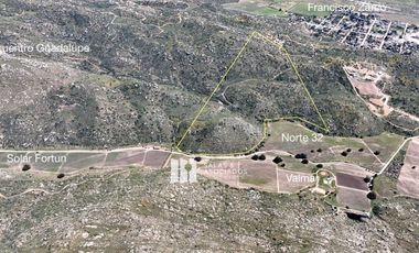 17 HA. EN COLINA VECINO ENCUENTRO GUADALUPE,  VALLE DE GUADALUPE