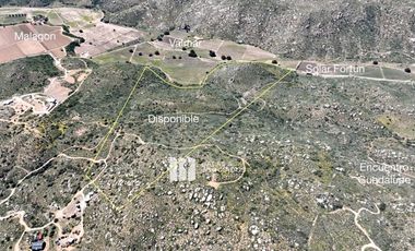 17 HA. EN COLINA VECINO ENCUENTRO GUADALUPE,  VALLE DE GUADALUPE
