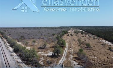 PRO1605 Ranchos en Venta, Doctor Coss en Doctor Coss