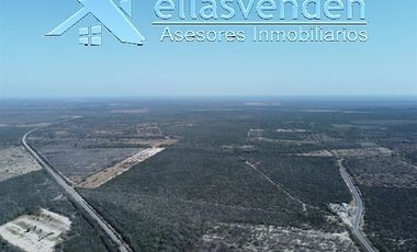 PRO1605 Ranchos en Venta, Doctor Coss en Doctor Coss