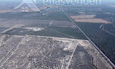 PRO1605 Ranchos en Venta, Doctor Coss en Doctor Coss