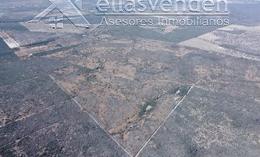 PRO1605 Ranchos en Venta, Doctor Coss en Doctor Coss