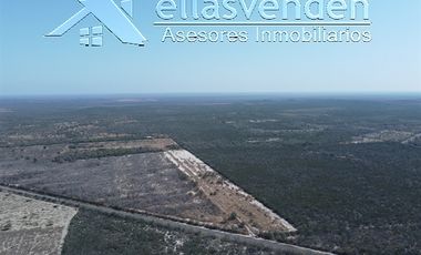 PRO1605 Ranchos en Venta, Doctor Coss en Doctor Coss