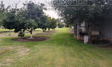PRO1700 Quintas en Venta, Hacienda el Sauz en Cadereyta Jimenez