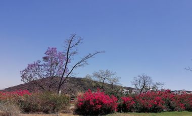 Amueblada en Biogrand Juriquilla reserva ecológica