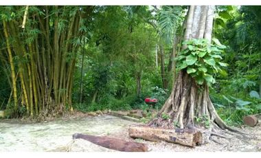 Finca en Venta en Cartagena de Indias - TURBACO