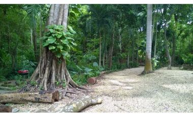 Finca en Venta en Cartagena de Indias - TURBACO