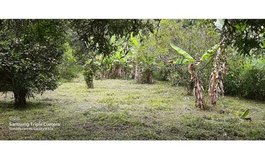 OPORTUNIDAD!!!  HERMOSA FINCA  LA VEGA (R)