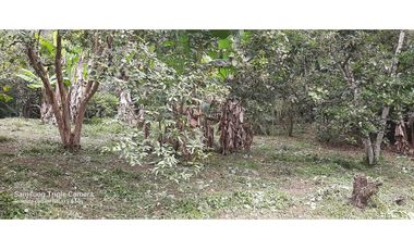 OPORTUNIDAD!!!  HERMOSA FINCA  LA VEGA (R)