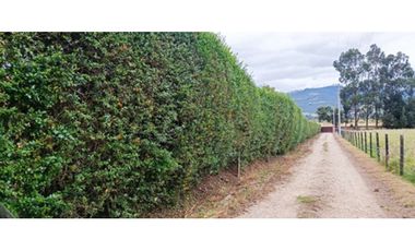 Vendo espectacular casa Quinta en Sopo