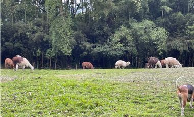 FINCA CABALLISTA CON LAGO EN GIRARDOTA