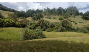 vendo lote en la Ceja Antioquia cerca al pueblo 15.000 m2