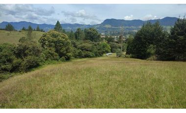 vendo lote en la Ceja Antioquia cerca al pueblo 15.000 m2