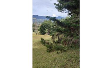 vendo lote en la Ceja Antioquia cerca al pueblo 15.000 m2