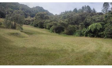 vendo lote en la Ceja Antioquia cerca al pueblo 15.000 m2