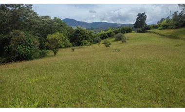 vendo lote en la Ceja Antioquia cerca al pueblo 15.000 m2