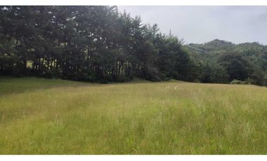 vendo lote en la Ceja Antioquia cerca al pueblo 15.000 m2