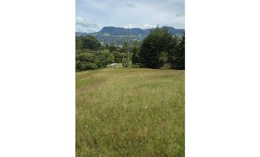 vendo lote en la Ceja Antioquia cerca al pueblo 15.000 m2