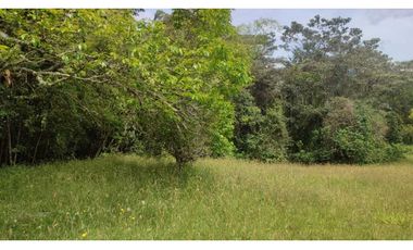 vendo lote en la Ceja Antioquia cerca al pueblo 15.000 m2