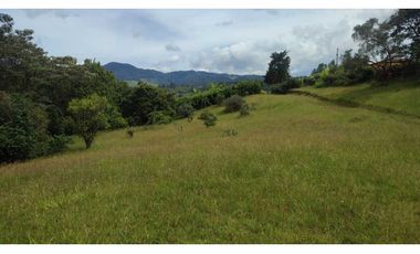 vendo lote en la Ceja Antioquia cerca al pueblo 15.000 m2