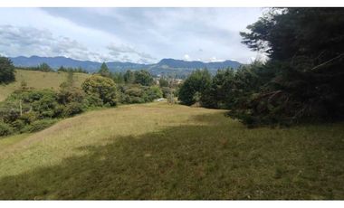 vendo lote en la Ceja Antioquia cerca al pueblo 15.000 m2