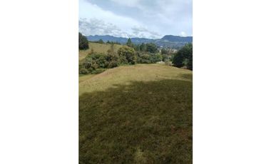 vendo lote en la Ceja Antioquia cerca al pueblo 15.000 m2