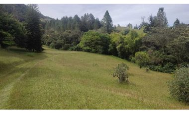vendo lote en la Ceja Antioquia cerca al pueblo 15.000 m2