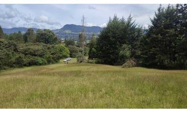 vendo lote en la Ceja Antioquia cerca al pueblo 15.000 m2