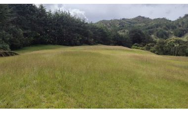 vendo lote en la Ceja Antioquia cerca al pueblo 15.000 m2