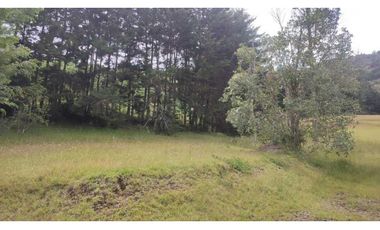 vendo lote en la Ceja Antioquia cerca al pueblo 15.000 m2