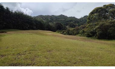 vendo lote en la Ceja Antioquia cerca al pueblo 15.000 m2