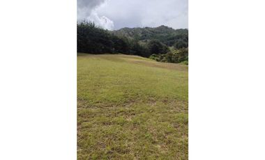 vendo lote en la Ceja Antioquia cerca al pueblo 15.000 m2